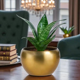 Personalized Mothers Day Magnet and Plant Combo